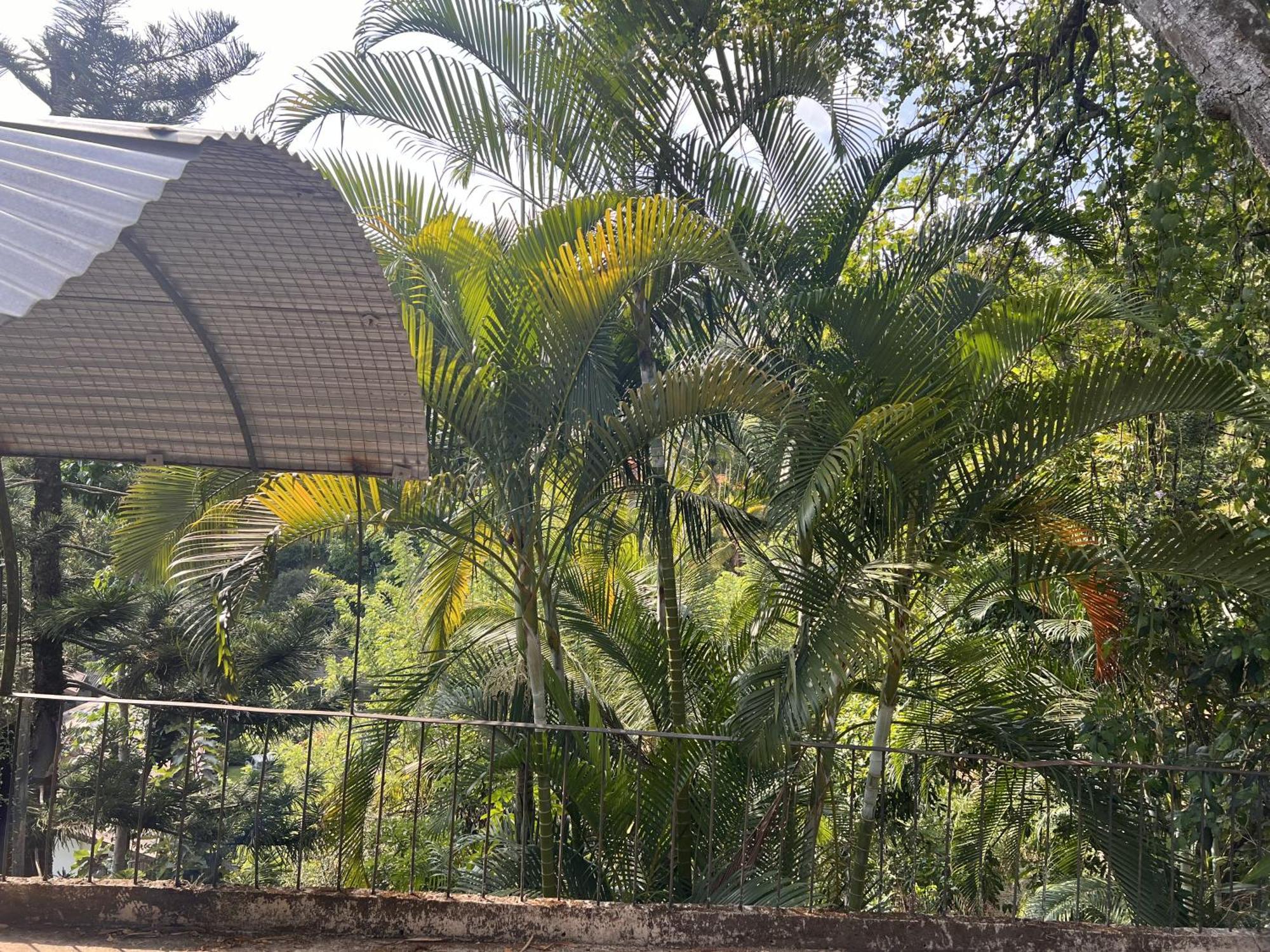 Canopy Villa Kandy Exterior photo
